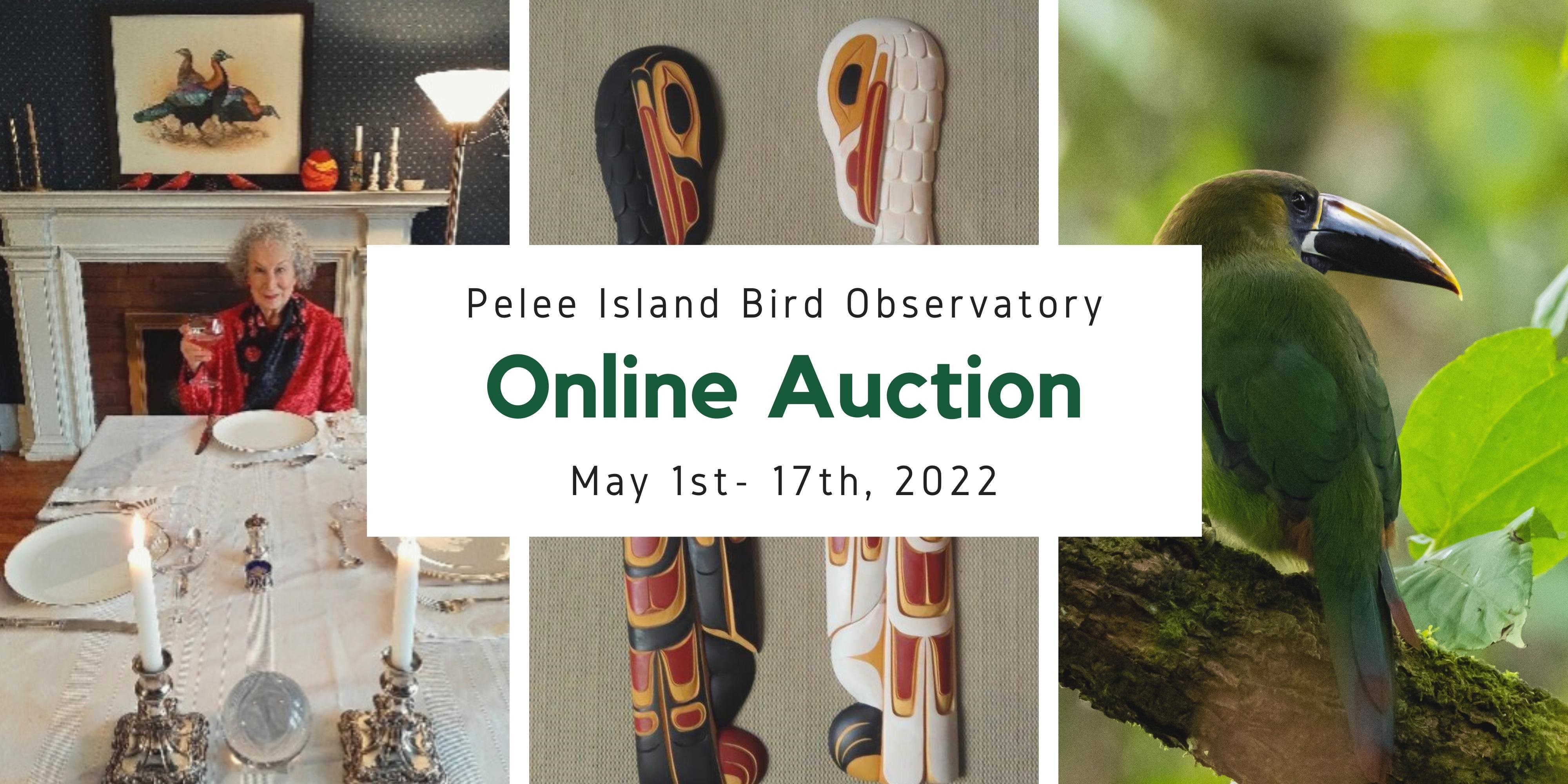 Bird Art Contest  The Pelee Island Bird Observatory