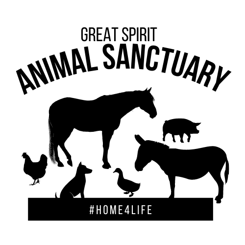 Great Spirit Animal Sanctuary Fundraiser - GalaBid Great Spirit Animal Sanctuary Fundraiser - GalaBid