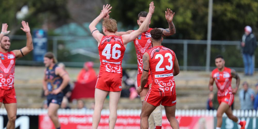 North Adelaide Football Club Guernsey Auction 2023 Banner