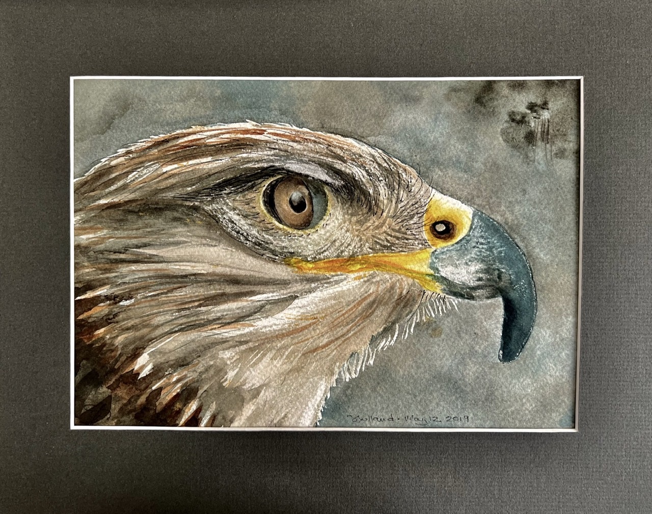 Bird Art Contest  The Pelee Island Bird Observatory