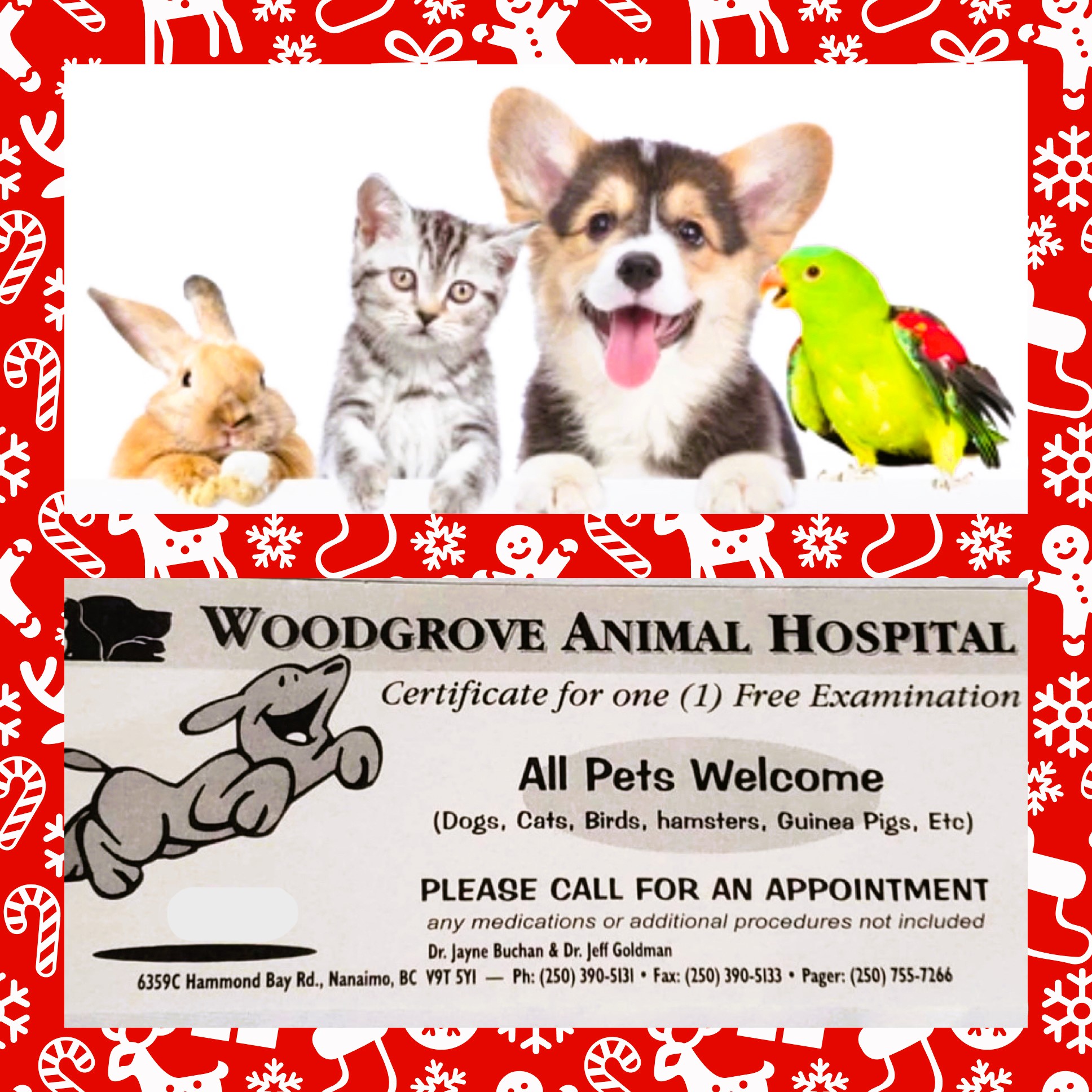 Woodgrove best sale veterinary services