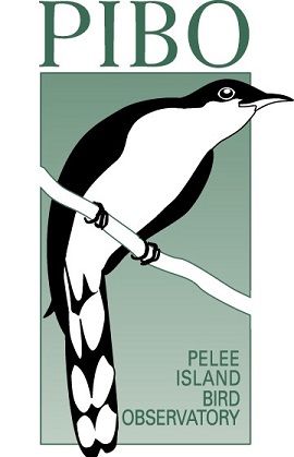 Bird Banding  The Pelee Island Bird Observatory