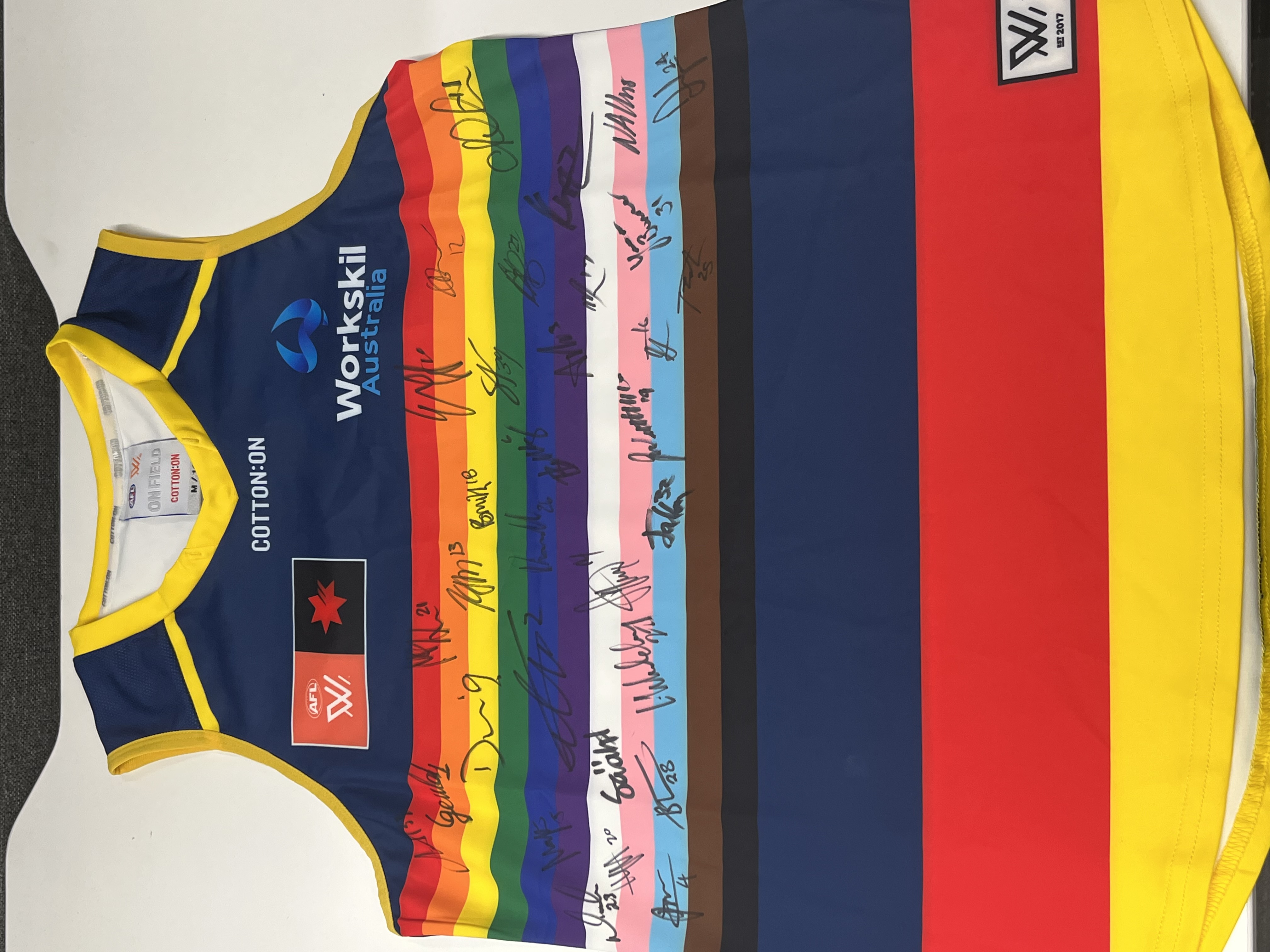 Team signed AFLW Pride Guernsey