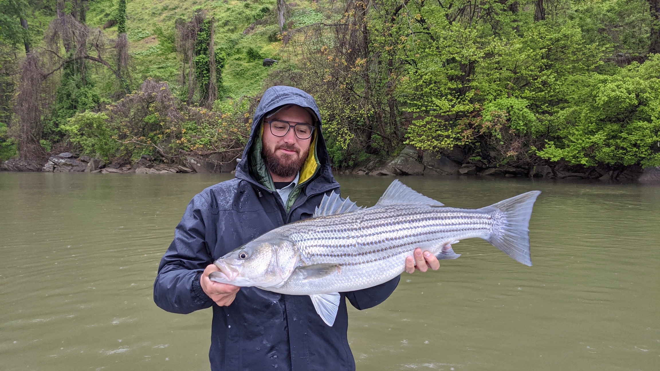 Drifting for Striped Bass at Fletcher's Cove with Alex Binsted